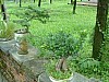 Vietnam2007-0224.JPG