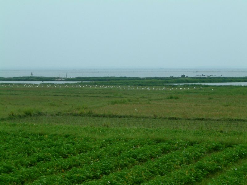 Vietnam2007-0304.JPG