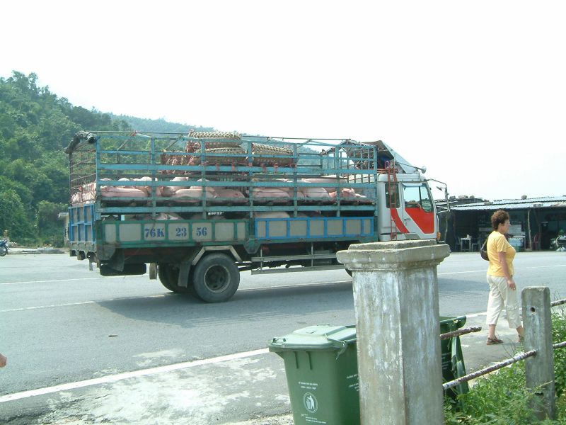 Vietnam2007-0329.JPG