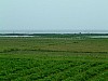 Vietnam2007-0304.JPG