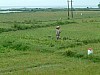 Vietnam2007-0305.JPG