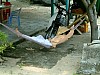 Vietnam2007-0314.JPG