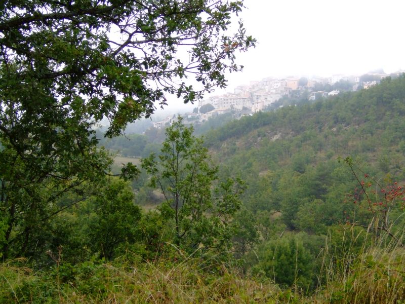 DSCF8737.JPG