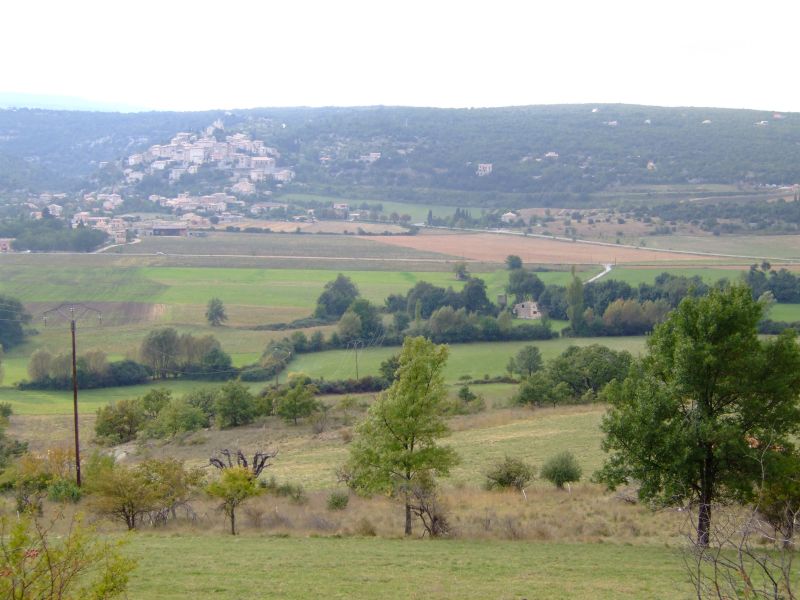 DSCF8820.JPG