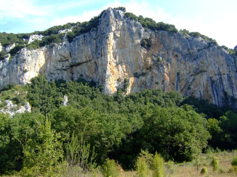 DSCF8907.JPG