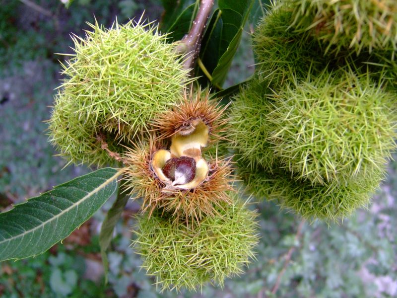 DSCF8935.JPG