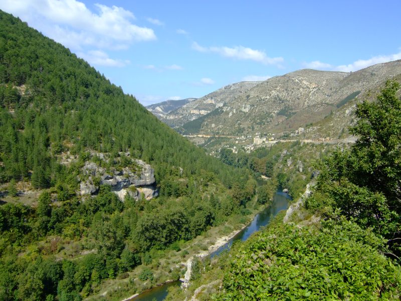 DSCF8963.JPG