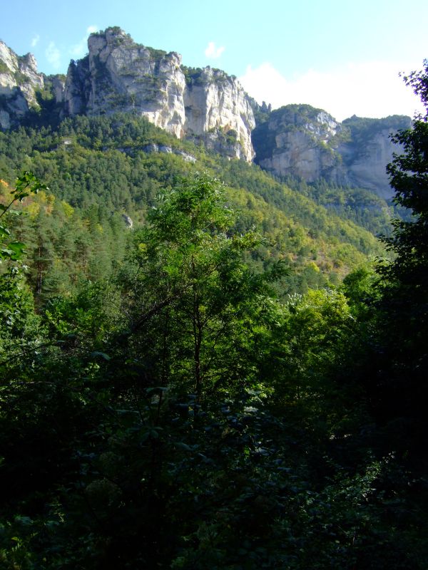 DSCF8974.JPG