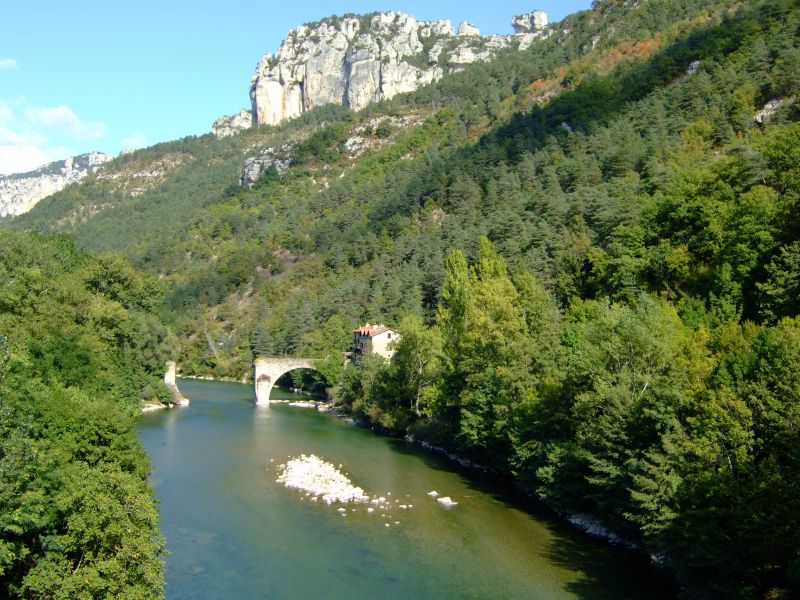 DSCF8978.JPG