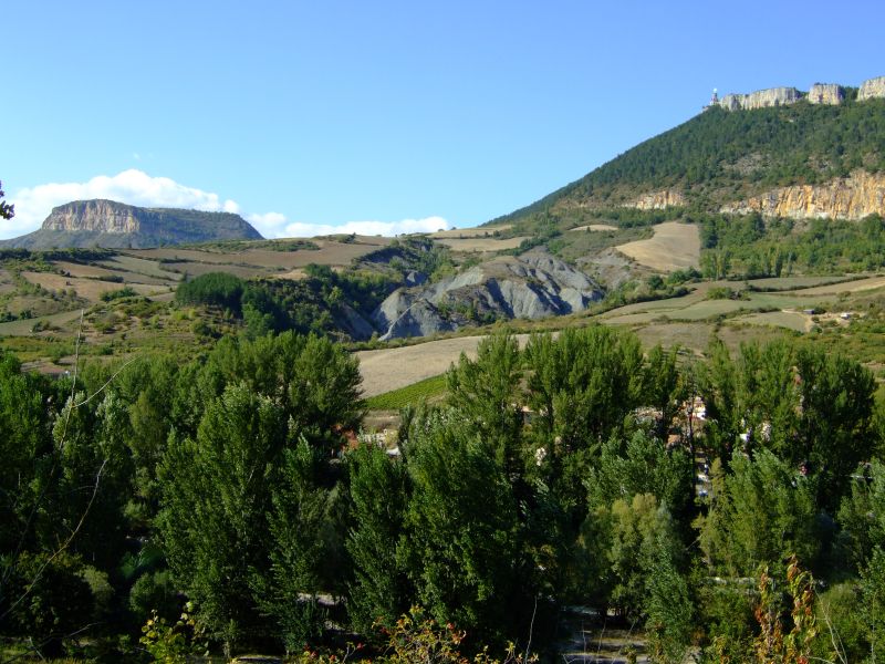 DSCF8981.JPG
