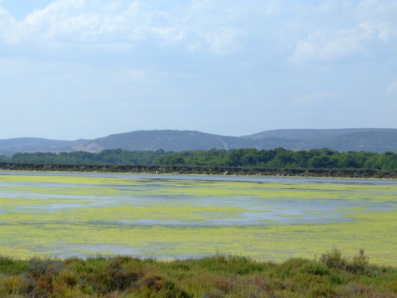 DSCF8999.JPG