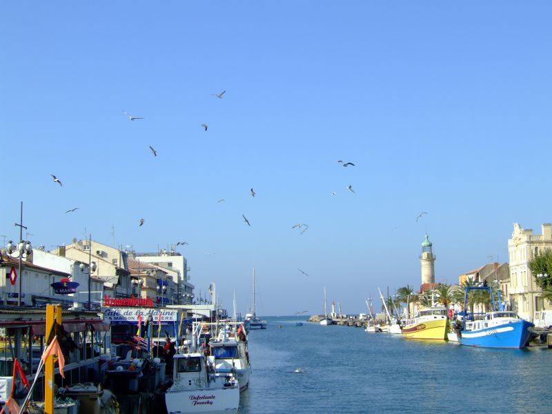 DSCF9018.JPG