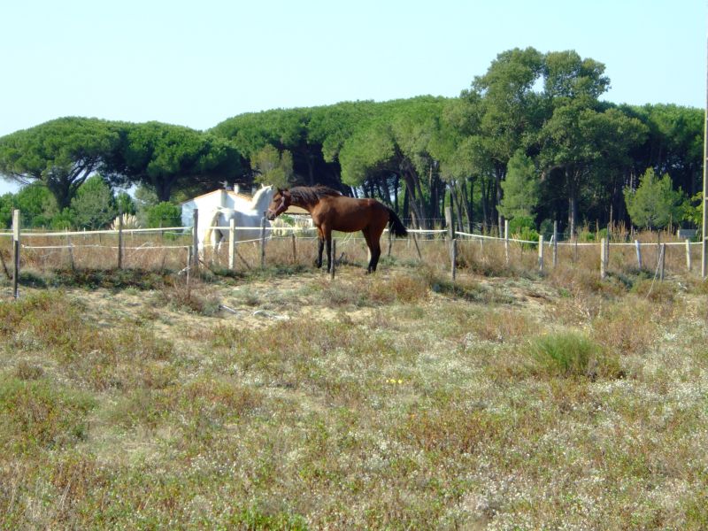 DSCF9030.JPG