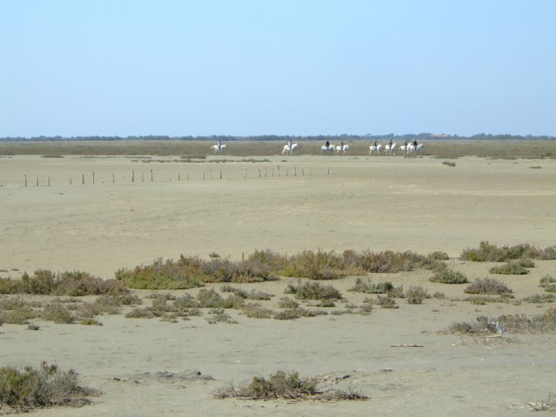 DSCF9038.JPG