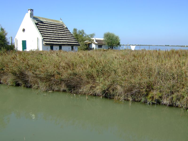 DSCF9042.JPG