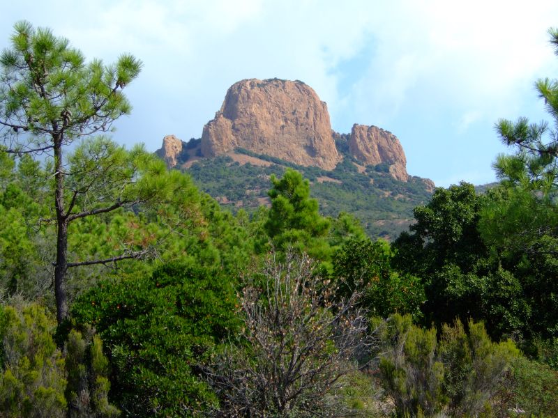 DSCF9088.JPG