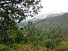 DSCF8737.JPG