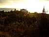 DSCF8777.JPG