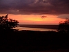 DSCF8784.JPG