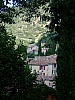 DSCF8804.JPG