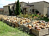 DSCF8810.JPG