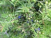 DSCF8822.JPG