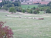 DSCF8827.JPG