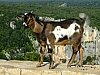 DSCF8892.JPG