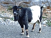 DSCF8897.JPG