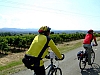 DSCF8910.JPG