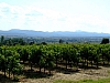 DSCF8911.JPG
