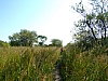 DSCF8991.JPG