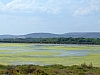 DSCF8999.JPG