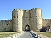 DSCF9019.JPG