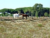 DSCF9030.JPG