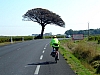 DSCF9031.JPG