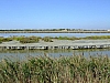 DSCF9039.JPG