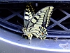 DSCF9054.JPG