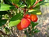 DSCF9089.JPG