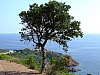 DSCF9097.JPG