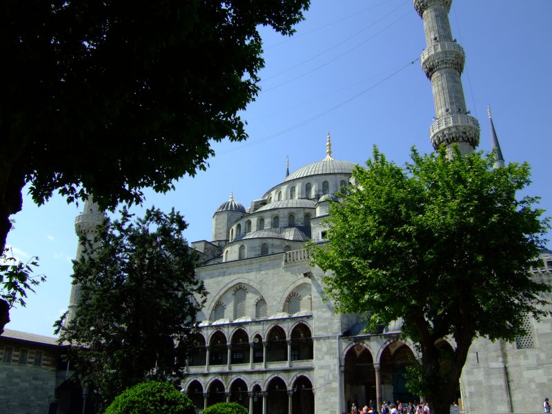 DSCF7249.JPG