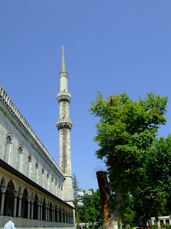DSCF7250.JPG