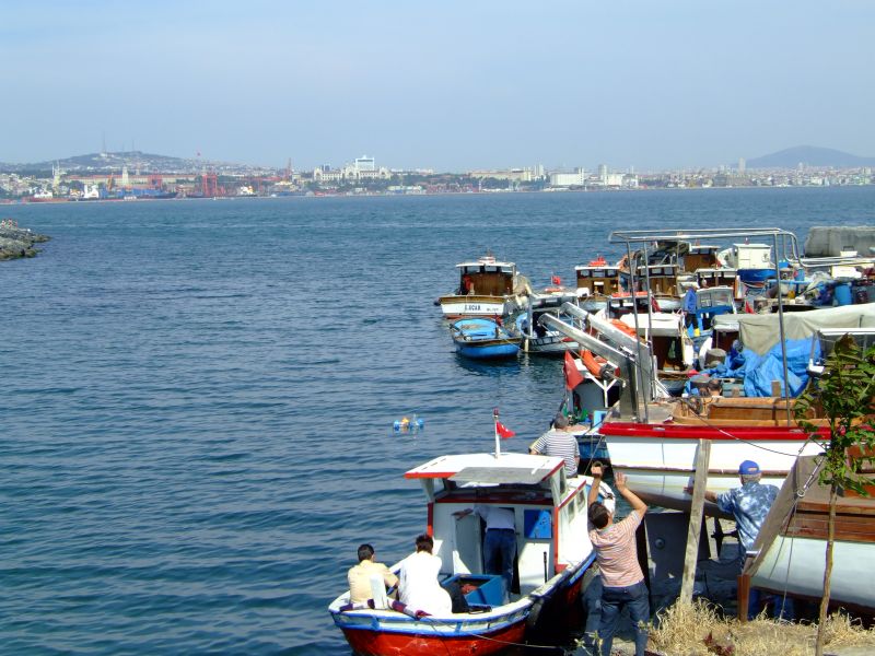 DSCF7306.JPG