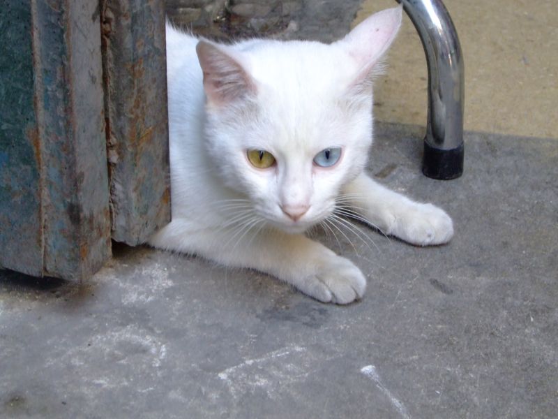 DSCF7443.JPG