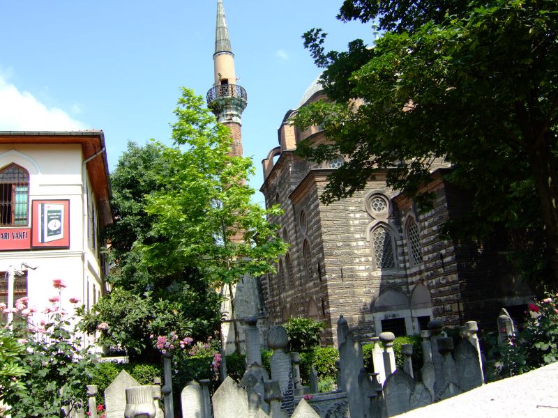 DSCF7492.JPG