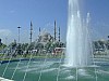 DSCF7245.JPG