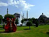 DSCF7246.JPG