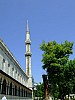 DSCF7250.JPG