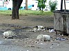 DSCF7420.JPG