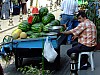 DSCF7525.JPG